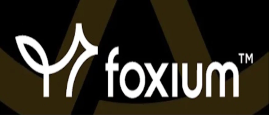 Foxium: Technical Assessment of Estonian Gaming Innovation (2025)